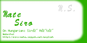 mate siro business card